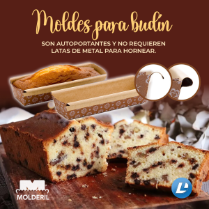 feed moldes budin